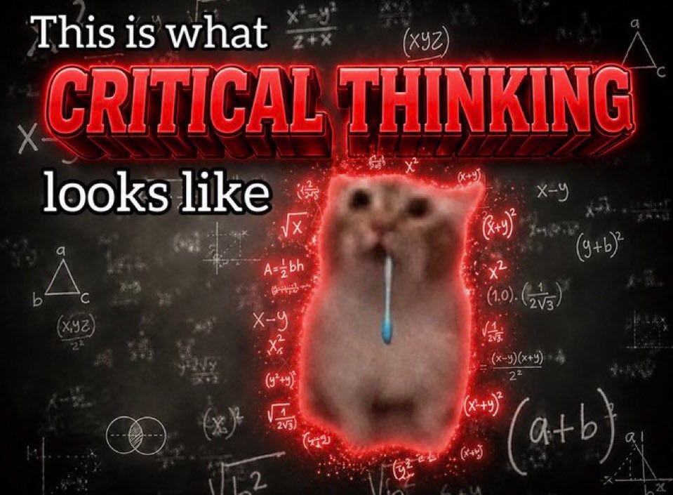 literallymecats's tweet photo. https://t.co/RUIefyAuil
