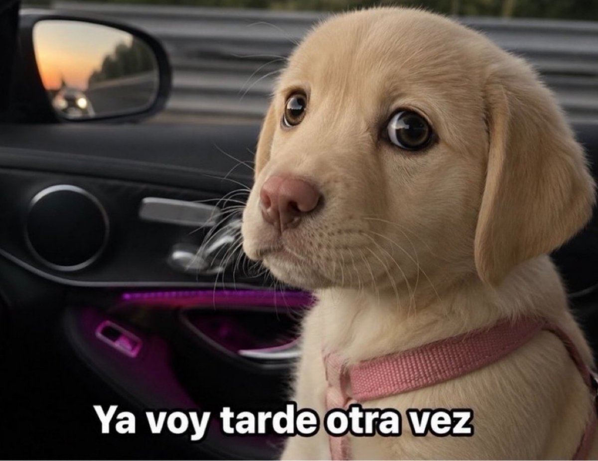 LuceroVagol's tweet photo. Yo después de posponer la alarma 12 veces: https://t.co/DInvHmLCU9