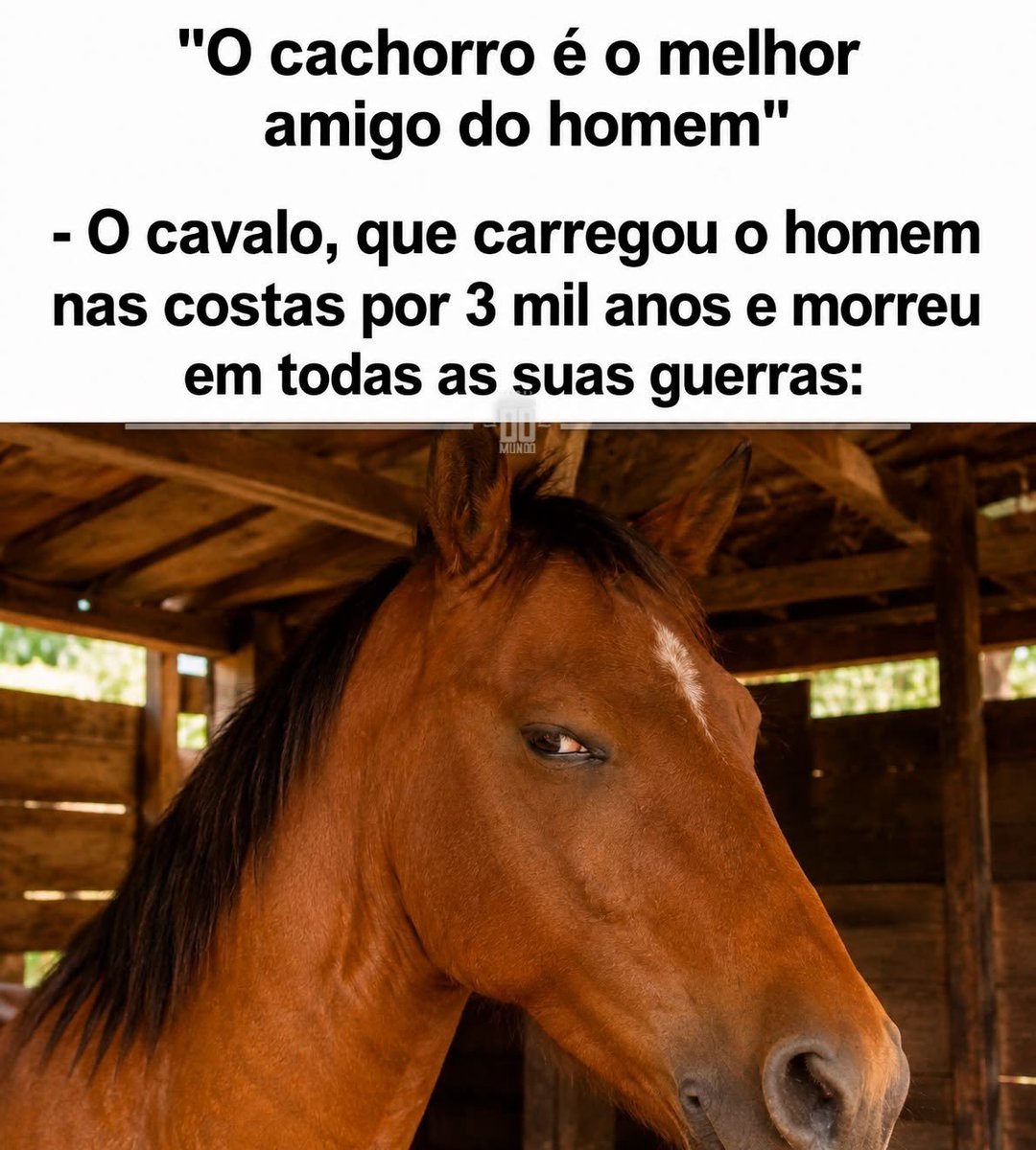 LibidoPerolas's tweet photo. https://t.co/ORVXDgYbZq