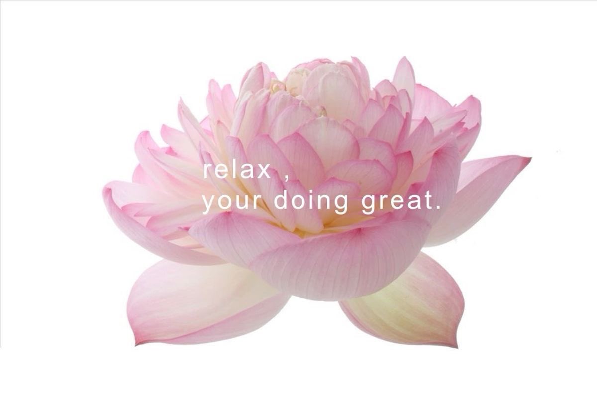 decemberrsn's tweet photo. Relax, your doing great. https://t.co/7tfbDcxBcm