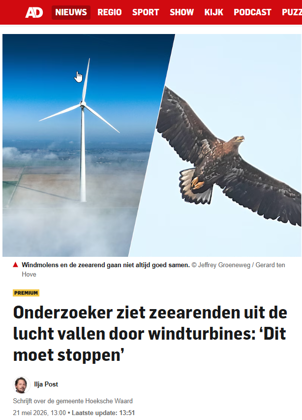 JosTeunissen2's tweet photo. 'Het klimaat redden'. Vogelonderzoeker kan het niet meer aanzien. https://t.co/YQwP44ugHb Voor de vierde keer in een maand tijd is een zeearend (vleugellengte van 2,5 m) omgekomen na een botsing met een windturbine in de Hoeksche Waard. "Dit moet stoppen”  https://t.co/C31DL7smcW https://t.co/8BzWcg2Nzh