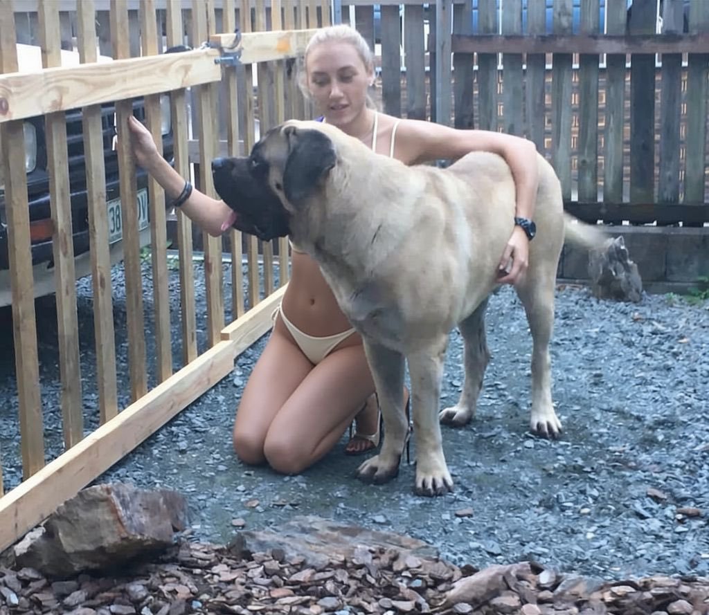 BbbBbblang's tweet photo. Fresh session just dropped.
Hard, deep, and intense.
Only in private — Link in bio
#dogs #K9 #Private https://t.co/Pq1rl3KgFe