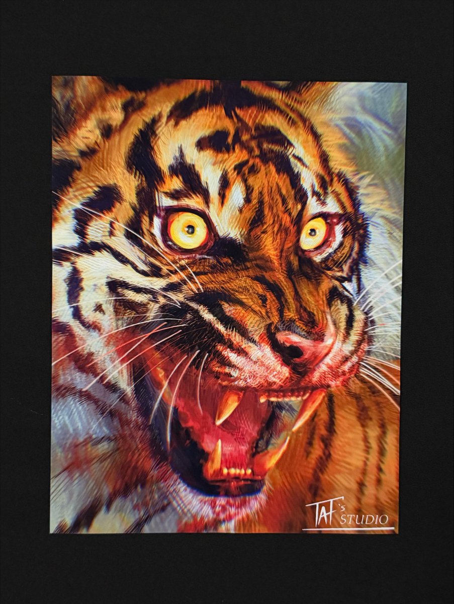 StudioTafs's tweet photo. ‘Vicious Tiger’ 🐅 Prints available 
https://t.co/fg5zXBx8nM https://t.co/KJxzoWtSQL