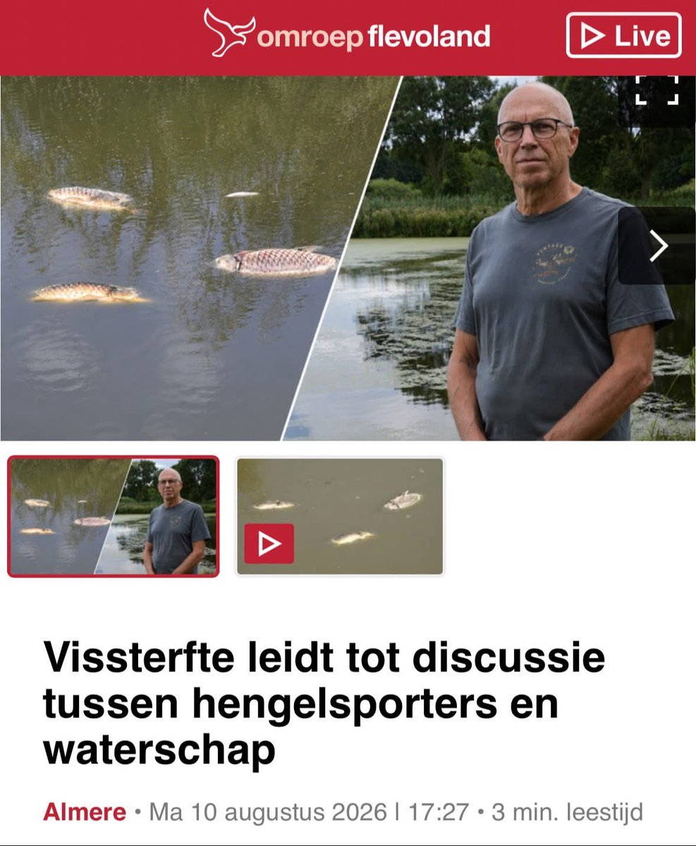 AvanStraaten's tweet photo. WEER MASSALE VISSTERFTE IN DE OOSTVAARDERSPLASSEN, MAAR GEEN WOORD OVER DAT DIE VISSEN DAAR VOL MET GIF ZITTEN!🤡

In 2018 werden karpers uit de Oostvaardersplassen overgezet naar het Markermeer.

In 2019 stierven in de Oostvaardersplassen ruim 60.000 vissen door wanbeleid! Weet u nog?

En wat bleek later uit mijn documenten die ik in 2023 via een Woo-verzoek bij Waterschap Zuiderzeeland boven tafel kreeg?

In 2022 werd juist in vis uit de Oostvaardersplassen de hoogste PFOS-concentratie van de onderzochte locaties gemeten.

In de stukken staat letterlijk:

“Op twee locaties, in de Noorderplassen en Oostvaardersplassen, zijn de PFOS waarden in vis zo hoog, dat de huidige wettelijke norm wordt overschreden. Dat de hoogste concentratie in vis in het natuurgebied Oostvaardersplassen is gemeten ligt niet in de lijn der verwachting. Een verklaring hiervoor ontbreekt vooralsnog. Dat zal onderwerp van aanvullend onderzoek zijn.”

En nu is er WÉÉR massale vissterfte in de Oostvaardersplassen!

Er wordt volop gediscussieerd over de vissen en het waterbeheer, maar over deze PFAS-gegevens uit de eigen stukken van Waterschap Zuiderzeeland hoor je helemaal NIETS!

Dus mijn vraag aan Waterschap Zuiderzeeland, Provincie Flevoland en Staatsbosbeheer:

WAAR IS DE UITSLAG VAN DAT DESTIJDS AANGEKONDIGDE AANVULLENDE ONDERZOEK?

En waarom heeft Staatsbosbeheer Oostvaardersplassen nooit een Boswachtersblog geschreven over dat die vissen in Oostvaardersplassen vol met gif zitten?🤡 

#oostvaardersplassen #flevoland #staatsbosbeheer 1/3⬇️

https://t.co/8SKZRfmTOX

https://t.co/r4lfdH21Mv

https://t.co/fuDBsFDsC7

https://t.co/Cw4V24PUgn
