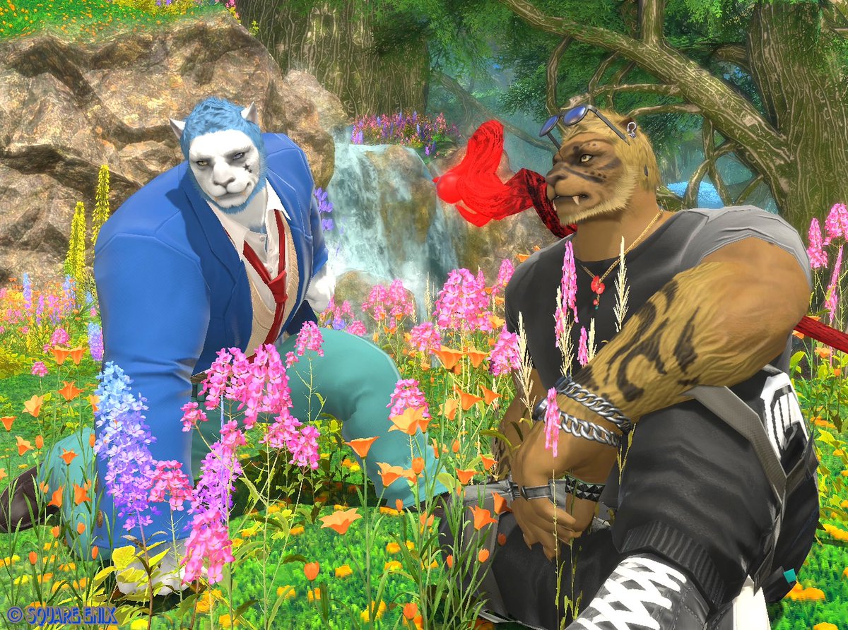 FF14_dayo's tweet photo. おはようございます☀️
昨日は夜中にtarooさん（@taroo_BOSS）と少しだけ一緒にルレ行ったりSS撮ったりしました👍会話も弾んでめっちゃ楽しかったです✨tarooさんのミラプリ、ワイルドでかっけぇぜ( *°∀°* )

 #FF14  #ロスガル https://t.co/da9z4Obrpy