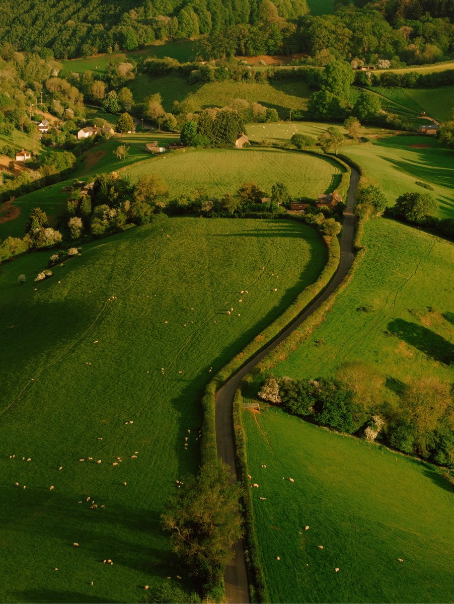 elyradream's tweet photo. countryside life https://t.co/dHTebyFuYk