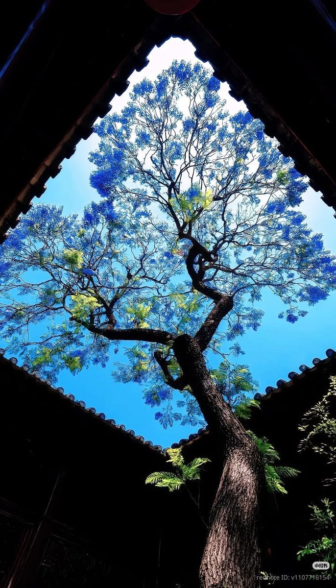 elyradream's tweet photo. nature dressed in blue and green https://t.co/sSk2q31hEM