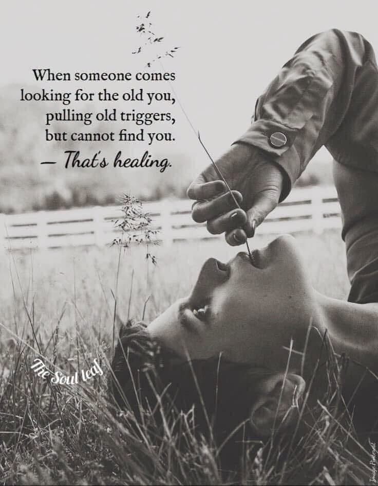 LifeWithJohn's tweet photo. When someone comes looking for the old you,
pulling old triggers, but cannot find you.
That's healing. https://t.co/AWtmqBS6ri