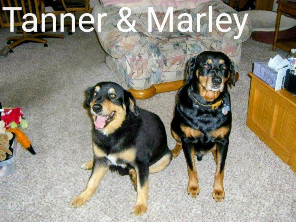 1dlwhite1's tweet photo. @Smiley__Simon I totally understand.  I cannot imagine what my life would have been without each of them https://t.co/Fo4629Lizn
