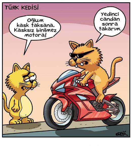 asya_aysaa's tweet photo. Küçükken çok süt içtiğim için annem dedemin baktığı ineklerin , damın kapısını açarak bak annelerin bunlar derdi. O zamanki düşünce kaosumu çok merak ettim şimdi. Samanyolu şarkısını açar ben kaçar. Cambaz dedeme rahmet izleyici ve dinleyicilere pselam ederim!.. https://t.co/kE9wh8Du8Y