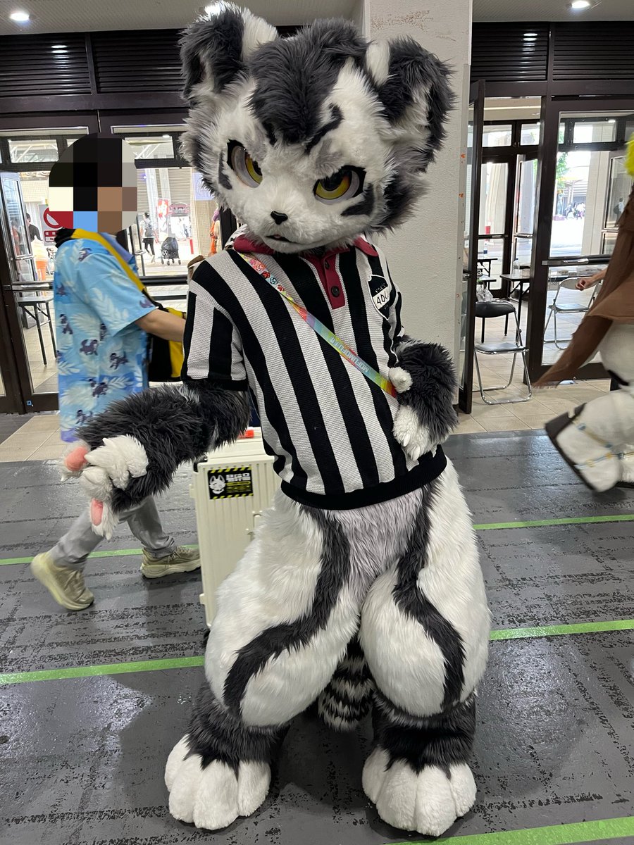 ki86foxcait's tweet photo. 银碳(ぎんたん)君を撮りました!
@FurryGintan
#OFFF
#OFFF2026 https://t.co/1bZZkjSi7I