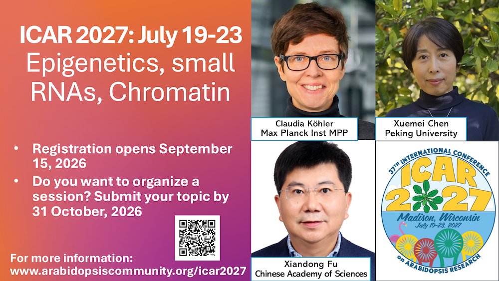 NAASC_NA_ICAR's tweet photo. We're excited to announce the Epigenetics, sRNAs &amp; Chromatin plenary session invited speakers for #ICAR2027Madison!  

🌱Claudia Köhler- Max Planck-MPP 
🌱Xuemei Chen- Peking Univ. 
🌱Xiandong Fu- CAS  info &amp; updates https://t.co/WN74MflFlJ

@Xuemei_RNAlab https://t.co/ppIImgqKVB