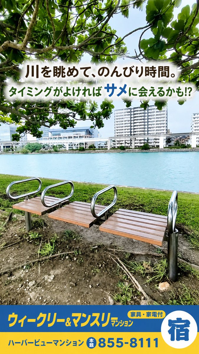 WeeklyHM's tweet photo. 奥武山公園のベンチ。

目の前を流れるのは国場川。
木陰に座って、川を眺めながらのんびり。

タイミングがよければ、サメの姿が見られることもあります🦈
　
ウィークリー&amp;マンスリーハーバービューマンションからも近いので、朝や夕方のお散歩にもおすすめです😊

#那覇市 #奥武山公園 #国場川 https://t.co/0vXRL61YgH