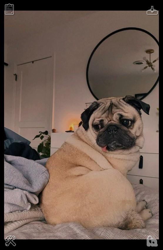LKEA46's tweet photo. Lila sends me a message, checking if I'd like to take a stroll through the park. A smile spreads across my face as I respond with a quick yes and start getting ready. Standing before the mirror, I fix my jacket, snap one final selfie, and reflect, “This is living. This is joy. https://t.co/PEE8vzeI6W