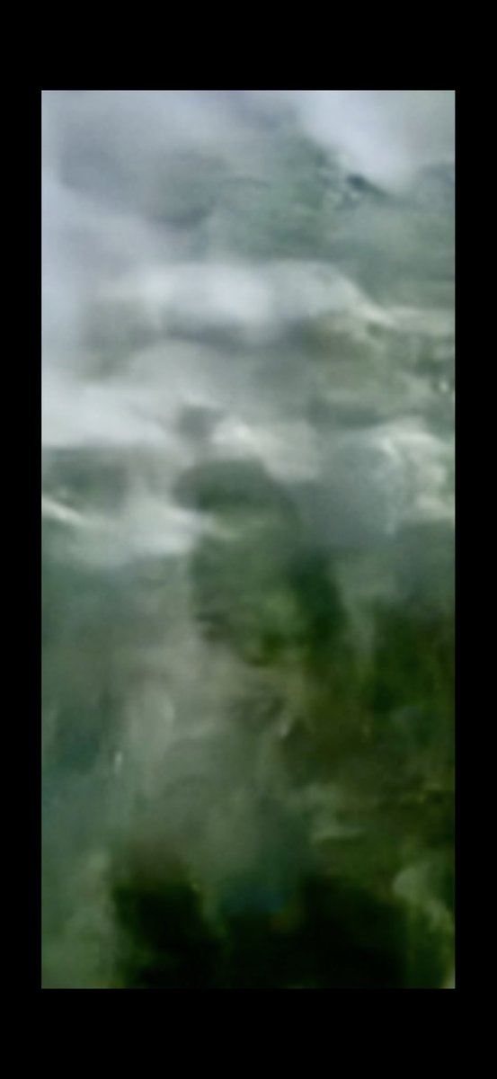 Terangelloves's tweet photo. There’s a regular ET picture party 🎉 going on my iPhone. No joke…pictures are changing at a rapid pace..I’m not sure everyone can make these out: let me know…Sea Captain, a pig flying over his head. The ET’s on the left with a man/woman in the center https://t.co/7Tizi8ksXG
