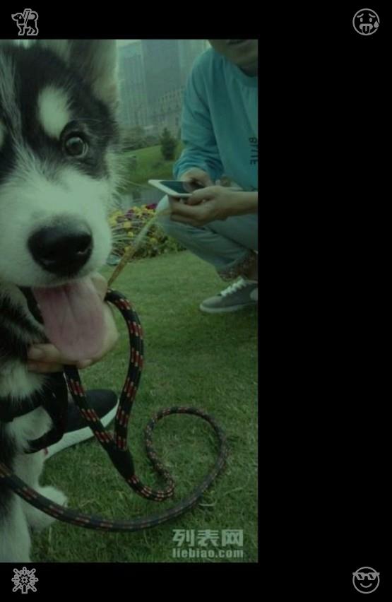 samola4all's tweet photo. Each courageous, heartfelt decision brings you closer to true, enduring, and tender joy—set aside doubt and advance with calm, patient, and modest strides toward the serene life you genuinely aspire to embrace wholeheartedly.💗Pepper Chips These chips carry a fiery kick. https://t.co/AO3EeaEIGz