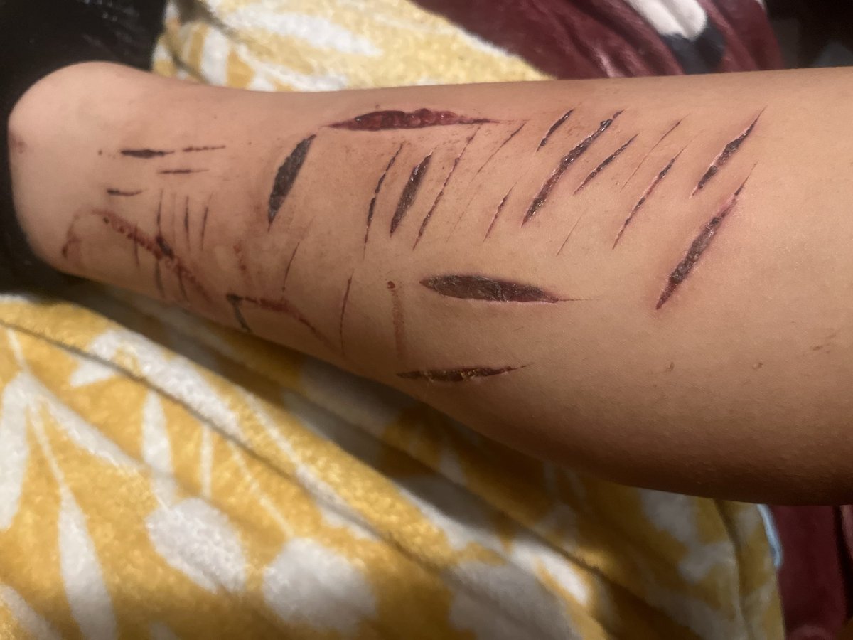valeries_wrld2's tweet photo. ai generated sfx makeup. leave me alone oh my god https://t.co/IMiGjbl7b4