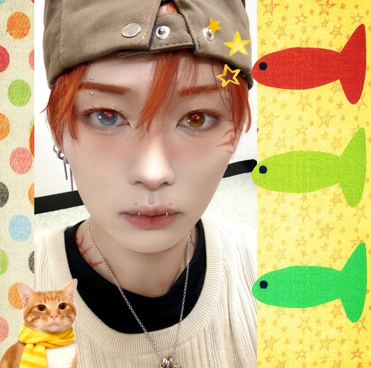 miupreys's tweet photo. ⠀⠀ ⠀⠀ 
⠀⠀ ⠀⠀ 🍎⭐️🐈 

⠀⠀ https://t.co/18lKgCR1Fm