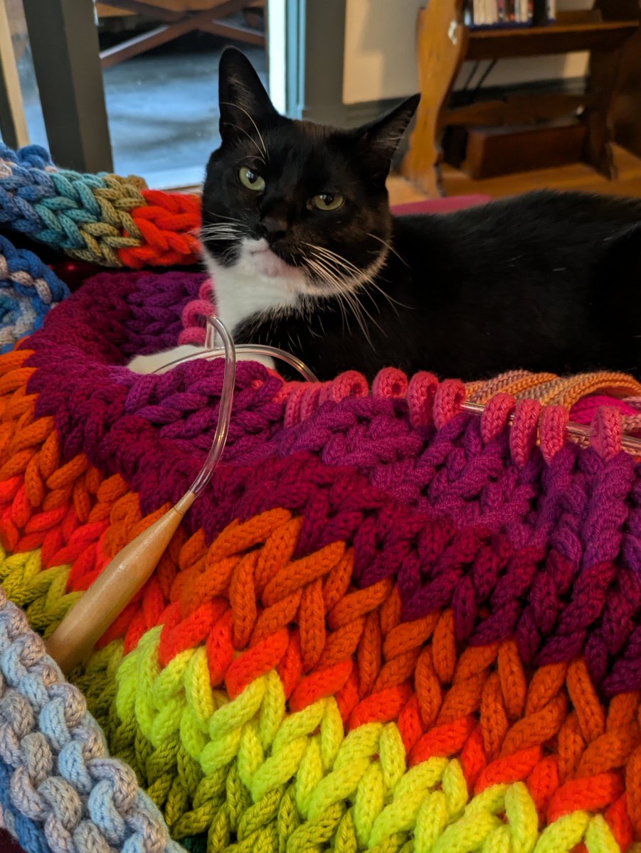 clareyed's tweet photo. I can only knit five or so rows of this giant thing day before my wrists hurt and I have to take a break. And he has to be all over it, of course https://t.co/xTqDtpun52