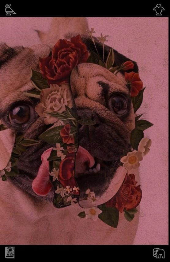Dream_nkami's tweet photo. 🐺Learn French Phrases, checked319165Painting exhibition Beautiful, inspiring! https://t.co/Hv4afVGcb4