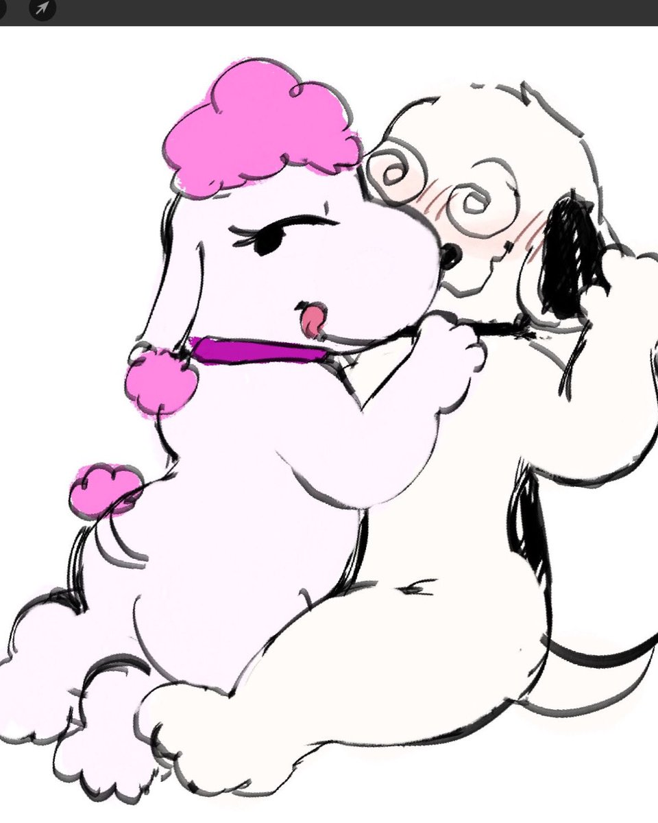 pawfunk_'s tweet photo. https://t.co/0ol7ie9ccs