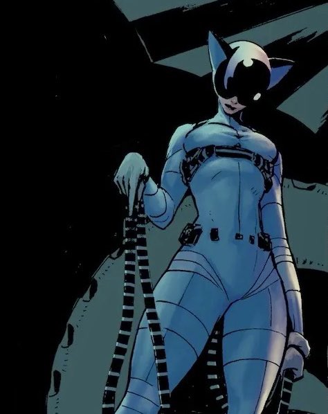 TheBatHome's tweet photo. absolute catwoman by nick dragotta https://t.co/B1ZN0EL2vO