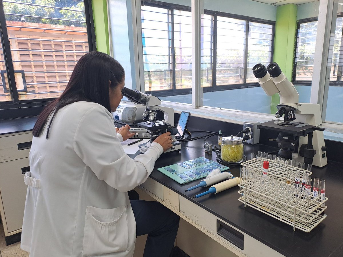 IpasmeOficial's tweet photo. La Unidad Médica El Tigre atendió a 14 pacientes en jornada de laboratorio, realizando 33 pruebas diagnósticas (hematología, VIH, VDRL y orina). 

Atención garantizada para afiliados y beneficiarios los días martes y jueves. ¡Seguimos! 
#SaludIpasme #Anzoategui https://t.co/hzFWd9YLfG