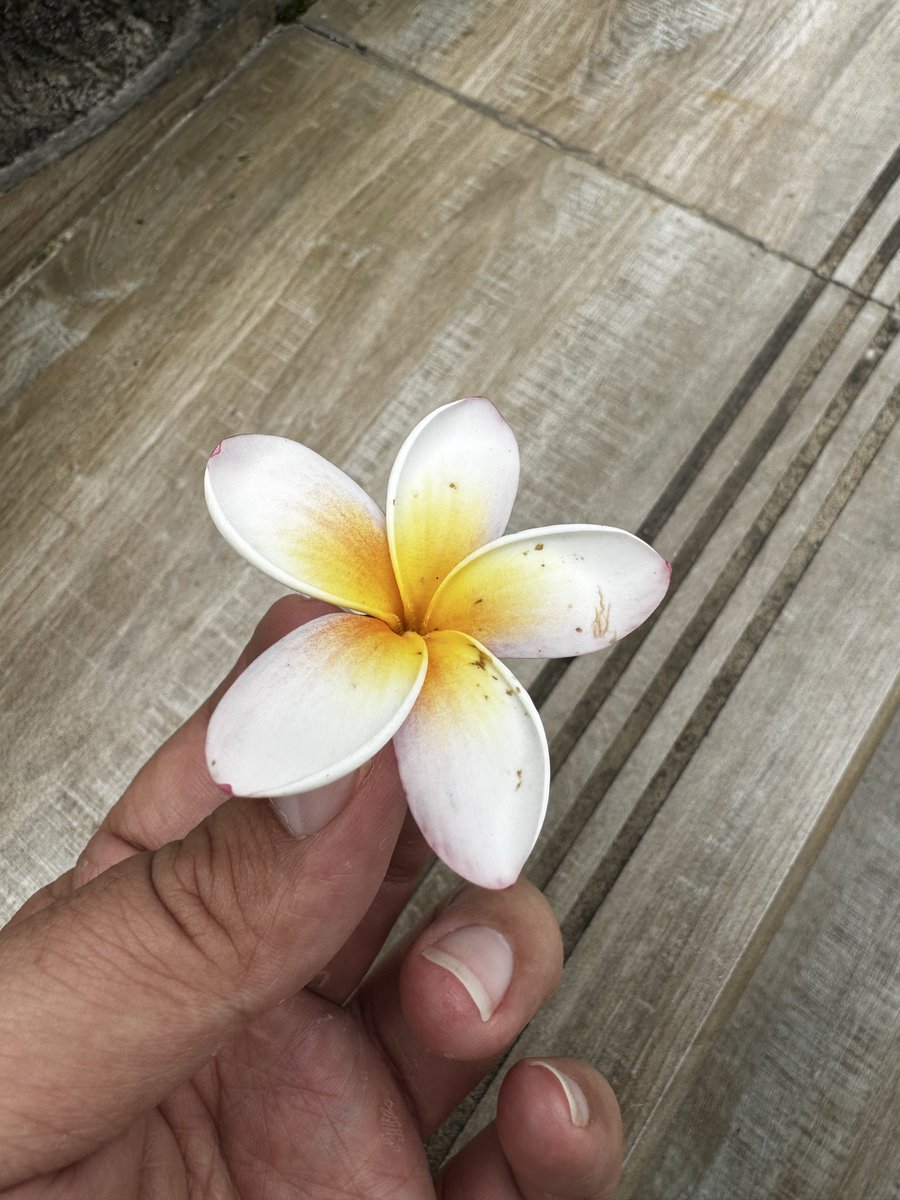 JJKserby's tweet photo. 8月，继续寻单男，继续给老婆寻一个器大活好的，#昆明 https://t.co/hb4SwM9AQF