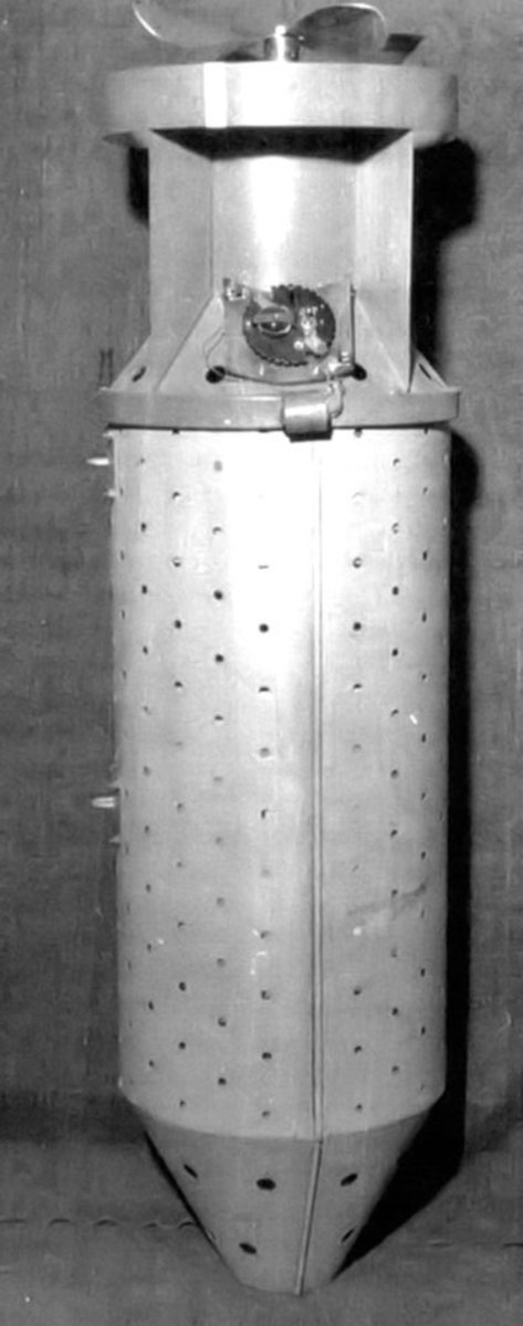 Scary_peeps's tweet photo. During World War II, the U.S. seriously tested a weapon made from live bats carrying tiny incendiary bombs.

The idea was called Project X-Ray.

Thousands of Mexican free-tailed bats would be chilled into hibernation, packed into bomb-shaped containers, then released over Japanese cities. Once awake, the bats were expected to crawl into roofs and attics before their timed incendiaries ignited.

Then one test went badly wrong.

Armed bats escaped at an airfield near Carlsbad, New Mexico and reportedly set parts of the facility on fire after roosting beneath structures. 

The project was eventually abandoned before combat use.

For a brief period, though, the U.S. military was genuinely developing a bomb that relied on sleeping bats waking up inside enemy cities.