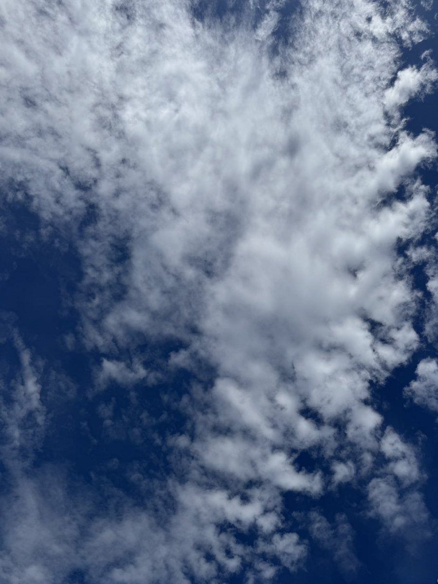 青い雲 昨夜の風も過ぎ去り、今朝は雲の隙間から青空も覗いています☀️ 今日