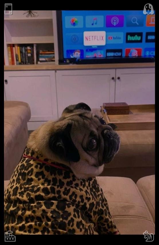 GreenAsmr tweet picture