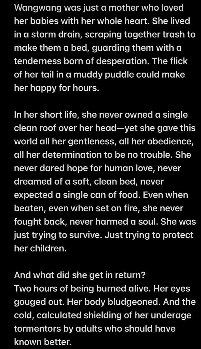 LiaTcxyn's tweet photo. Wangwang was just a tiny girl, barely over a year old. She bore every ounce of malice and hatred this world threw at her—yet gave humanity nothing but every scrap of love and trust she had to give. Please, never forget her, And never stop speaking out for her.
#JusticeForWangwang https://t.co/fOj1pnaf2t