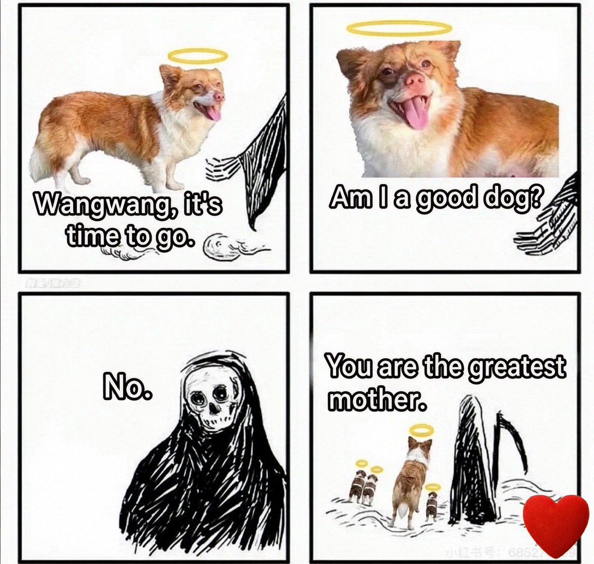 LiaTcxyn's tweet photo. Wangwang was just a tiny girl, barely over a year old. She bore every ounce of malice and hatred this world threw at her—yet gave humanity nothing but every scrap of love and trust she had to give. Please, never forget her, And never stop speaking out for her.
#JusticeForWangwang https://t.co/fOj1pnaf2t