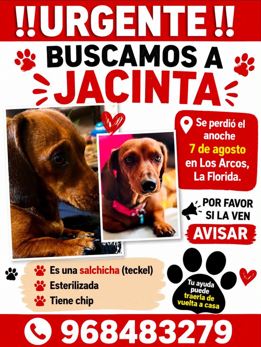 todopormiperro's tweet photo. https://t.co/y2E4iLl9jM