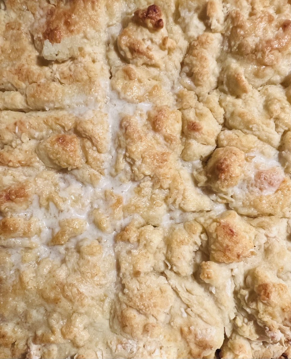 thatslick1's tweet photo. Swim biscuits https://t.co/EJu0G3PSGO