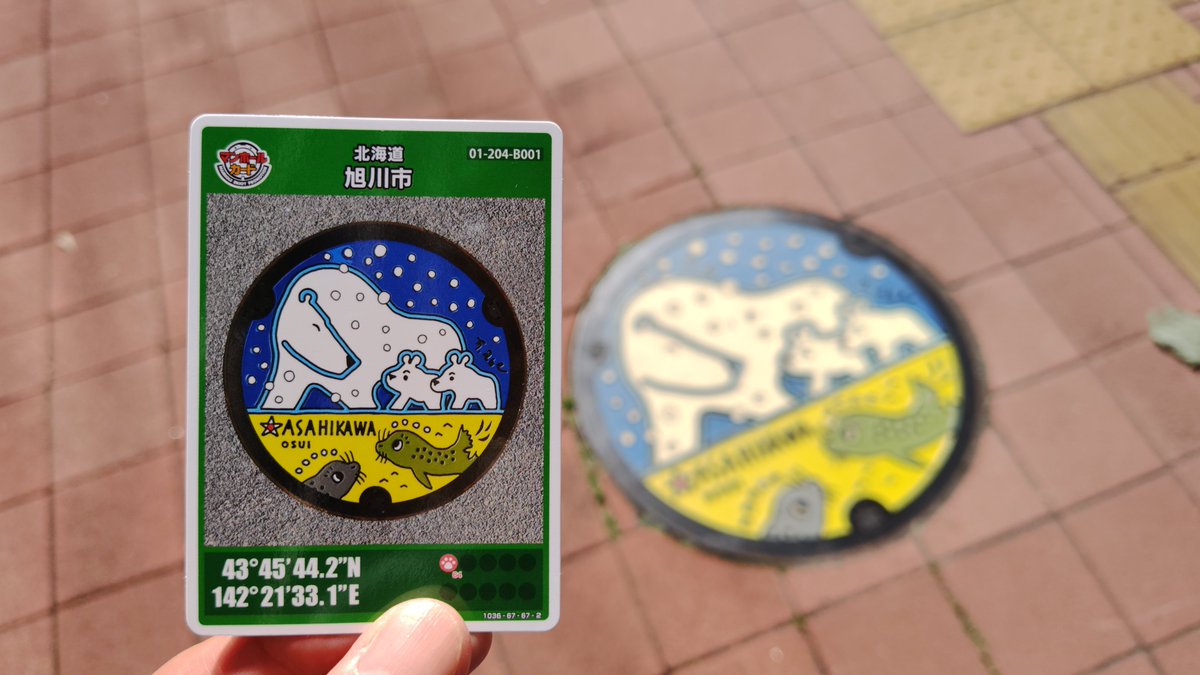 chemistry_mito's tweet photo. 旭川市の旭川駅観光案内所でホッキョクグマとアザラシデザインのマンホールカードをもらいました https://t.co/z8Y6MroCAm