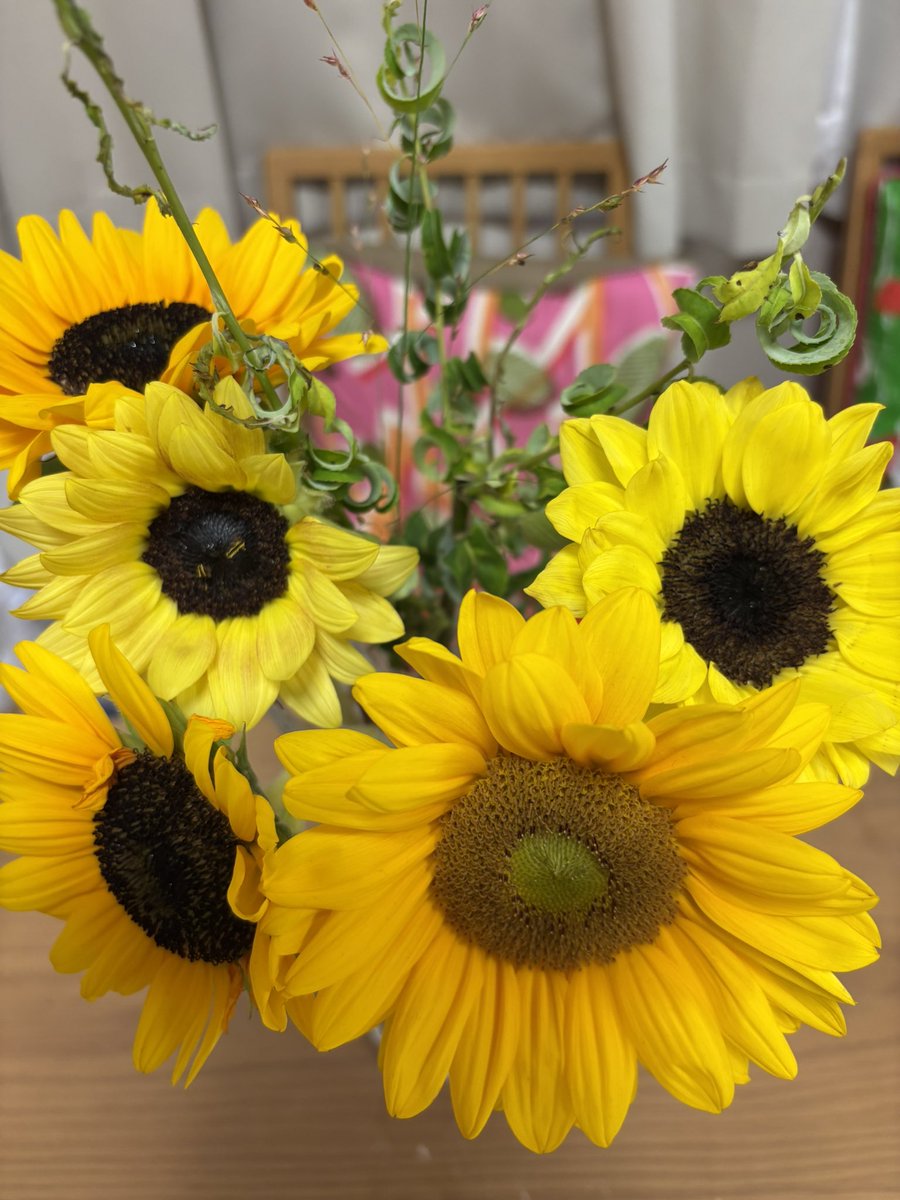 R75eT7's tweet photo. ただいま、息子が帰省中🌻
お土産も買って来てくれて、
楽しい日々を送っております🥰🫶💕 https://t.co/FOyTScxP7j