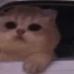 JamCatRH's tweet photo. get in loser $JAMCAT https://t.co/2qAiTT9R6M
