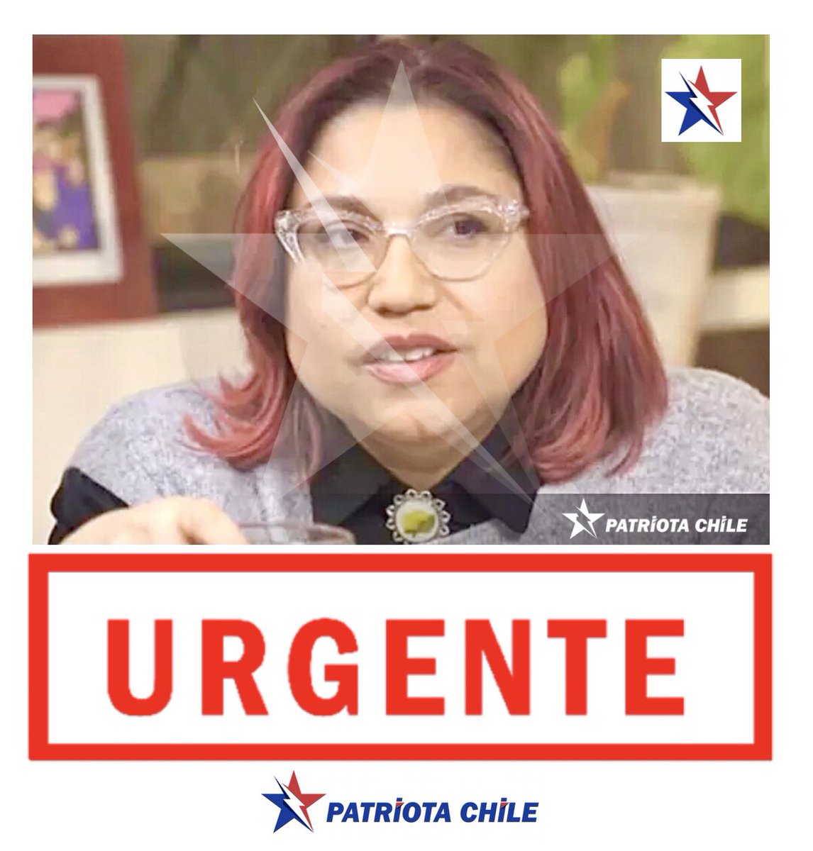 Soubirous_33's tweet photo. 🔴 URGENTE | Patriotas, Alejandra “Ardilla” Valle, está Acusando por los Medios al Cabo Zamora; sigue insistiendo que el empujó a un delincuente al Mapocho, sabiendo que TODAS las pruebas lo dieron por INOCENTE. Debe ser Acusada por Difamación FALSA. RT https://t.co/70jn9B3lsl