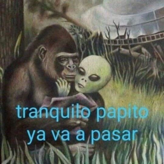 papasitoblox's tweet photo. @robweedss no son tus mutis de berdad, tranqilo https://t.co/KLo4GpcdPV