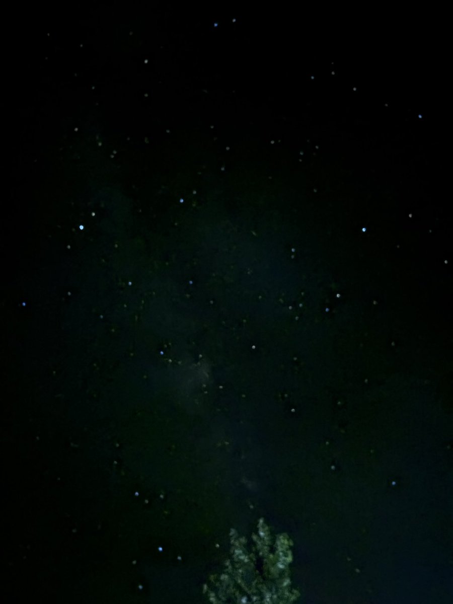 nanamayu's tweet photo. 素晴らしい避暑の旅🏔️。17が撮ってくれた満天の星空写真をGeminiが解説してくれたわ🤭 https://t.co/fVVrbdMU2r
