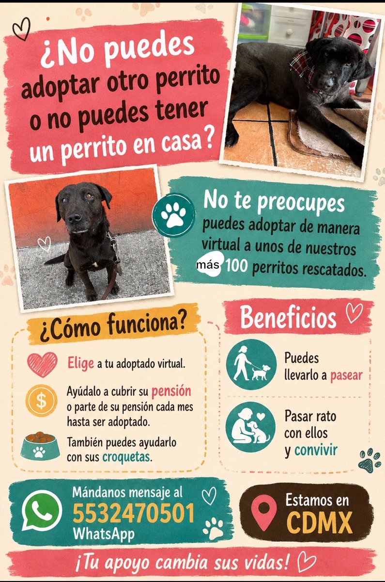 HELA_MORE's tweet photo. Adopta de manera virtual a uno de nuestros rescatados,los gastos que más nos está costando cubrir mes a mes son las croquetas y pensiones,no es lo mismo cubrir una sola mensualidad a tener que pagar más de 100.

Adopta de manera virtual a uno de nuestros perritos.🩷 https://t.co/swLNymFVHv
