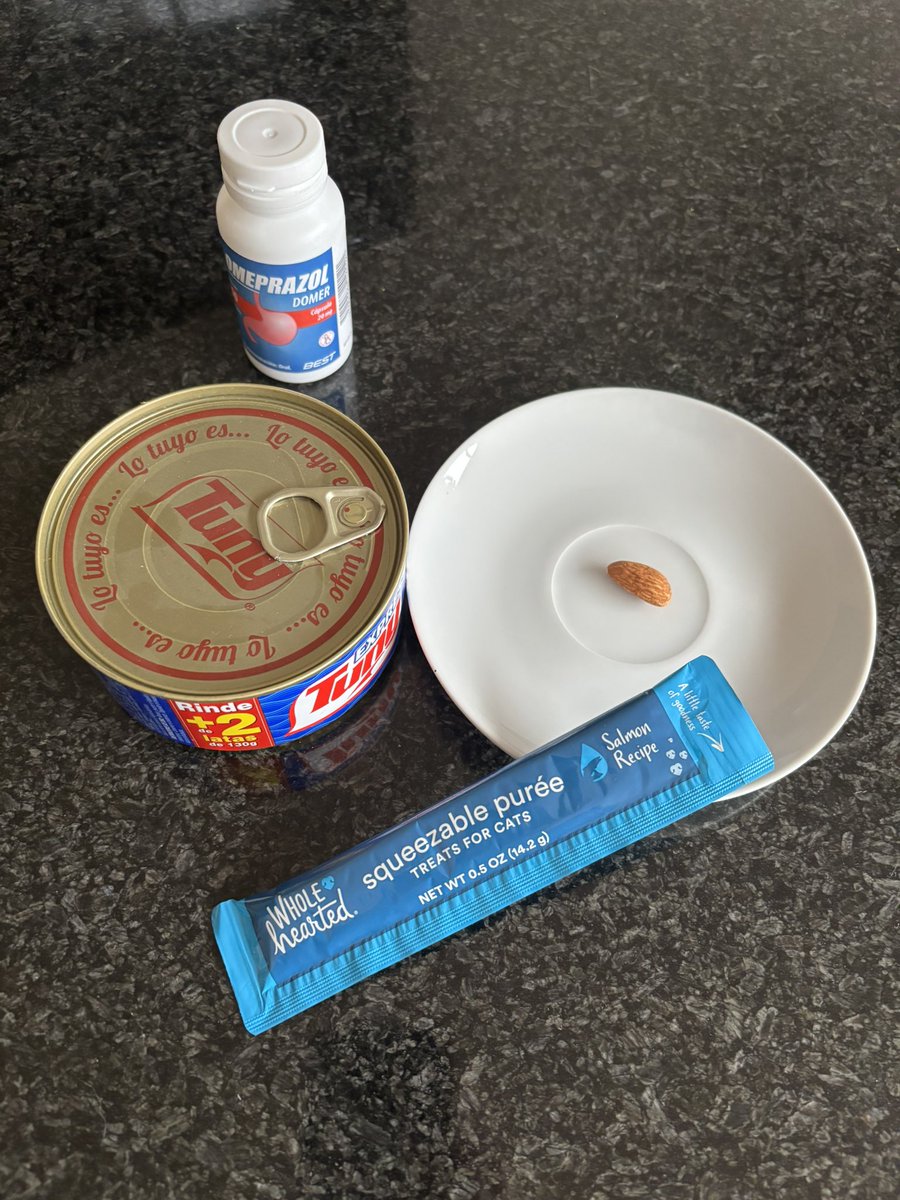 elerikku's tweet photo. En la oficina, me están funando (de nuevo) por las comidas raras que llevo a la ofi para llegar a mis metas nutricionales diarias sin estar cocinando o comprando en fondas cercanas. 

👁️🫦👁️ https://t.co/os3MCmSAVm