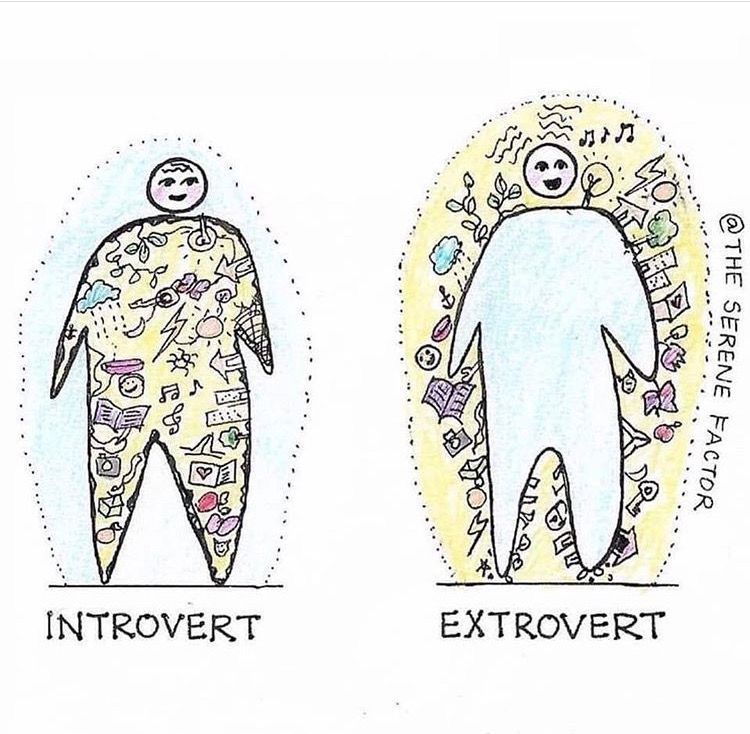 oldmanlux's tweet photo. Introverts vs extroverts 😭 https://t.co/KuPQZqN8Hc