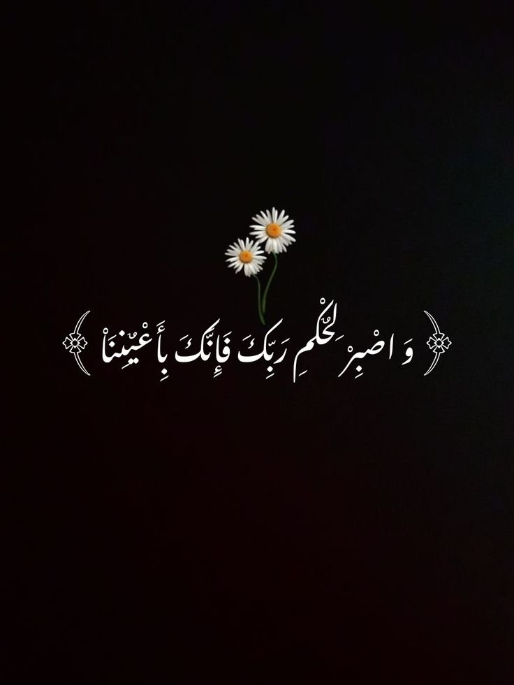 motm2na_'s tweet photo. رِسـالة لكَ🤍.. https://t.co/xIIsFNGxZ4