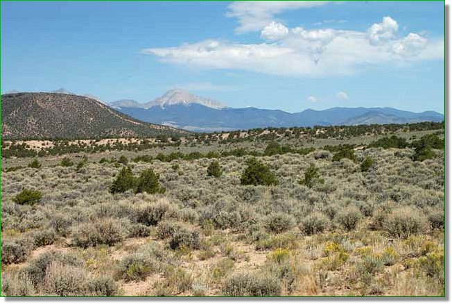 BillyLand's tweet photo. Colorado Foothill Land, 5.25 Acres, Sangre De Cristo
Beautiful Level Mountain View Land With Owner Financing

https://t.co/Wu70F0ZlbV https://t.co/M8QdaWbUZc