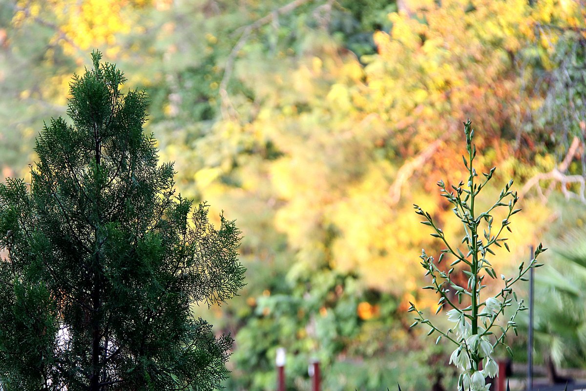 grace_arrington's tweet photo. Chilly autumn breeze + warm coffee = perfect Tuesday mood， https://t.co/hbRL7KkEy3