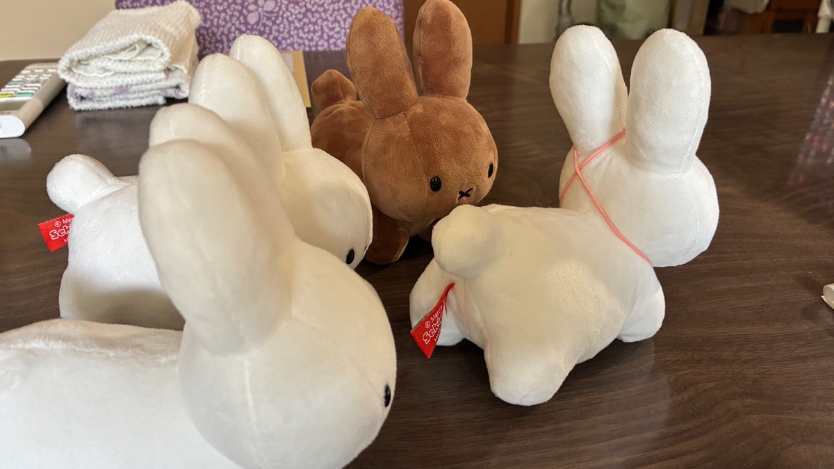 CX8pt's tweet photo. ええねんけど、前しか見せられへんねん🤷‍♀️ https://t.co/iyKhMSKnvd