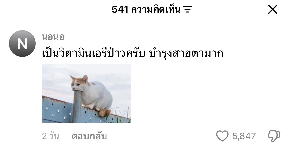 jae_jls's tweet photo. กุให้เรยคนไทย จดบทแปป 55555555555 https://t.co/yyw7UA4ImC