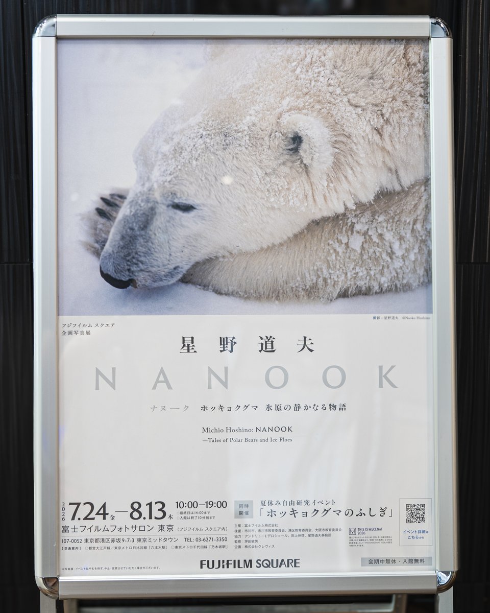 haga_hendrix's tweet photo. この一枚を撮るのがどれだけ大変だったか…。膨大な時間を掛けてホッキョクグマとの信頼関係を築くことで可能となった奇跡の数々。大自然の美しさと共に星野さんの人間力の大きさが伝わってくる。そして今、ナヌーク達のクラス環境がどうなっているのかと一抹の不安も…。
#星野道夫 
#NANOOK https://t.co/Zol3V3N32m